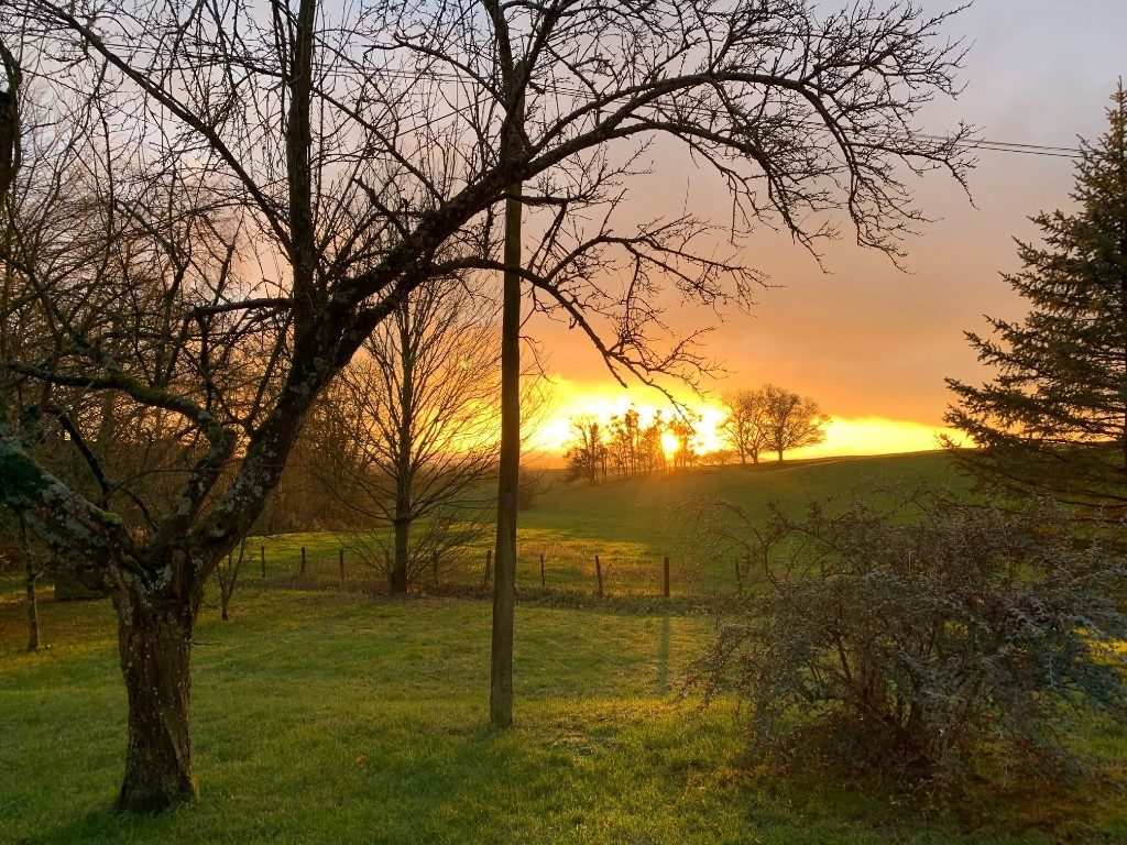 Abend über den Weiden